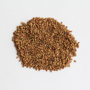 Fenugreek