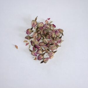Pink Rose Petals and Buds